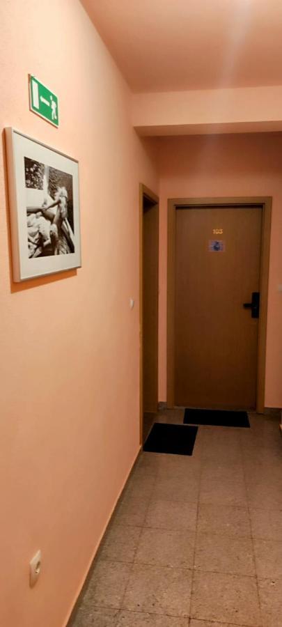 Villa Dm Baška Voda Exteriér fotografie